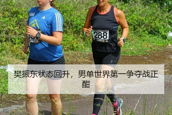 樊振东状态回升,男单世界第一争夺战正酣